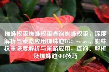 蜘蛛权重蜘蛛权重查询蜘蛛权重，深度解析与策略应用蜘蛛池TG：zzcseo，蜘蛛权重深度解析与策略应用，查询、解析及蜘蛛池SEO技巧
