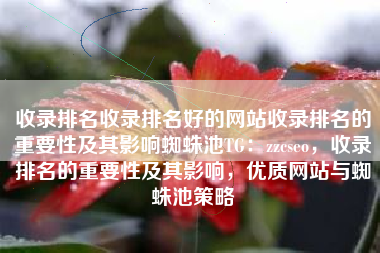 收录排名收录排名好的网站收录排名的重要性及其影响蜘蛛池TG：zzcseo，收录排名的重要性及其影响，优质网站与蜘蛛池策略