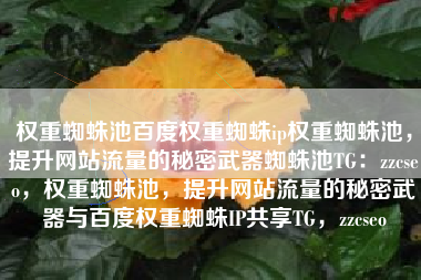 权重蜘蛛池百度权重蜘蛛ip权重蜘蛛池，提升网站流量的秘密武器蜘蛛池TG：zzcseo，权重蜘蛛池，提升网站流量的秘密武器与百度权重蜘蛛IP共享TG，zzcseo