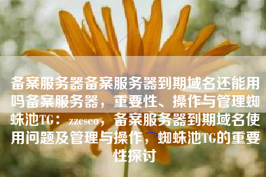 备案服务器备案服务器到期域名还能用吗备案服务器，重要性、操作与管理蜘蛛池TG：zzcseo，备案服务器到期域名使用问题及管理与操作，蜘蛛池TG的重要性探讨