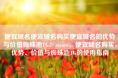便宜域名便宜域名购买便宜域名的优势与价值蜘蛛池TG：zzcseo，便宜域名购买，优势、价值与蜘蛛池TG的使用指南