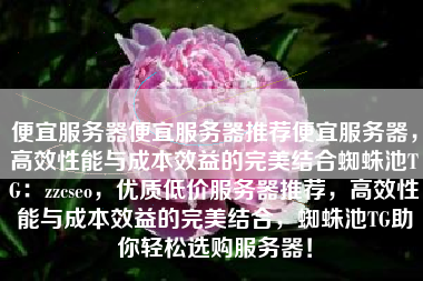便宜服务器便宜服务器推荐便宜服务器，高效性能与成本效益的完美结合蜘蛛池TG：zzcseo，优质低价服务器推荐，高效性能与成本效益的完美结合，蜘蛛池TG助你轻松选购服务器！