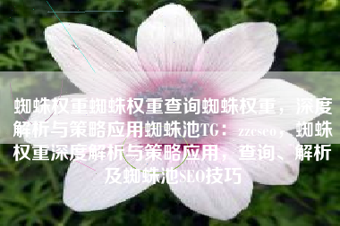 蜘蛛权重蜘蛛权重查询蜘蛛权重，深度解析与策略应用蜘蛛池TG：zzcseo，蜘蛛权重深度解析与策略应用，查询、解析及蜘蛛池SEO技巧