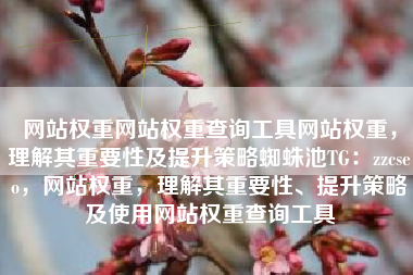网站权重网站权重查询工具网站权重，理解其重要性及提升策略蜘蛛池TG：zzcseo，网站权重，理解其重要性、提升策略及使用网站权重查询工具