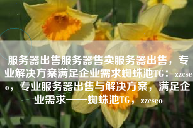服务器出售服务器售卖服务器出售，专业解决方案满足企业需求蜘蛛池TG：zzcseo，专业服务器出售与解决方案，满足企业需求——蜘蛛池TG，zzcseo