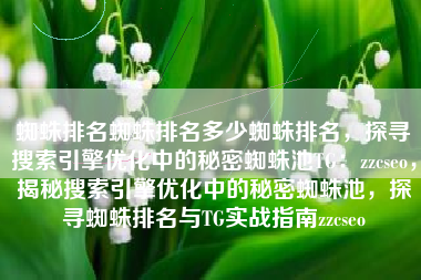 蜘蛛排名蜘蛛排名多少蜘蛛排名，探寻搜索引擎优化中的秘密蜘蛛池TG：zzcseo，揭秘搜索引擎优化中的秘密蜘蛛池，探寻蜘蛛排名与TG实战指南zzcseo