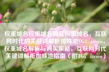 权重域名权重域名购买权重域名，互联网时代的关键词解析蜘蛛池TG：zzcseo，权重域名解析与购买策略，互联网时代关键词解析蜘蛛池指南（附TG，zzcseo）