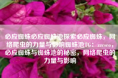 必应蜘蛛必应蜘蛛池探索必应蜘蛛，网络爬虫的力量与影响蜘蛛池TG：zzcseo，必应蜘蛛与蜘蛛池的秘密，网络爬虫的力量与影响