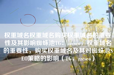 权重域名权重域名购买权重域名的重要性及其影响蜘蛛池TG：zzcseo，权重域名的重要性，购买权重域名及其对蜘蛛池SEO策略的影响（TG，zzcseo）