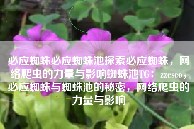 必应蜘蛛必应蜘蛛池探索必应蜘蛛，网络爬虫的力量与影响蜘蛛池TG：zzcseo，必应蜘蛛与蜘蛛池的秘密，网络爬虫的力量与影响