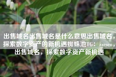 出售域名出售域名是什么意思出售域名，探索数字资产的新机遇蜘蛛池TG：zzcseo，出售域名，探索数字资产新机遇