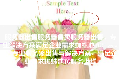 服务器出售服务器售卖服务器出售，专业解决方案满足企业需求蜘蛛池TG：zzcseo，专业服务器出售与解决方案，满足企业需求蜘蛛池TG服务上线