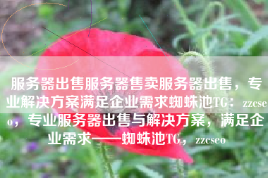 服务器出售服务器售卖服务器出售，专业解决方案满足企业需求蜘蛛池TG：zzcseo，专业服务器出售与解决方案，满足企业需求——蜘蛛池TG，zzcseo
