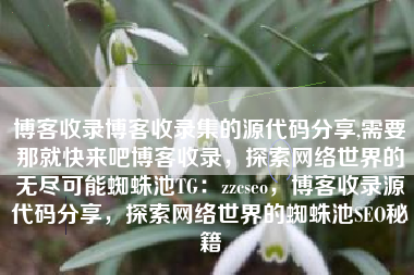 博客收录博客收录集的源代码分享,需要那就快来吧博客收录，探索网络世界的无尽可能蜘蛛池TG：zzcseo，博客收录源代码分享，探索网络世界的蜘蛛池SEO秘籍