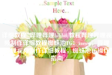 详细教程_哔哩哔哩bilibili教程哔哩哔哩视频制作详细教程蜘蛛池TG：zzcseo，哔哩哔哩视频制作详细教程，蜘蛛池TG操作指南