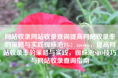 网站收录网站收录查询提高网站收录率的策略与实践蜘蛛池TG：zzcseo，提高网站收录率的策略与实践，蜘蛛池SEO技巧与网站收录查询指南