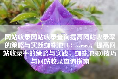 网站收录网站收录查询提高网站收录率的策略与实践蜘蛛池TG：zzcseo，提高网站收录率的策略与实践，蜘蛛池SEO技巧与网站收录查询指南