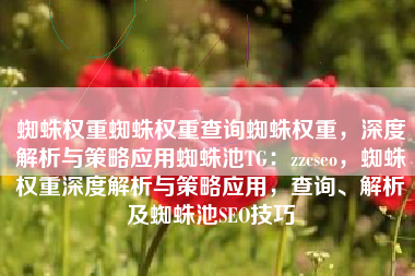 蜘蛛权重蜘蛛权重查询蜘蛛权重，深度解析与策略应用蜘蛛池TG：zzcseo，蜘蛛权重深度解析与策略应用，查询、解析及蜘蛛池SEO技巧