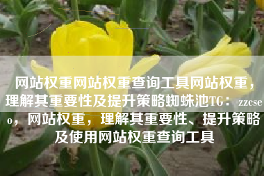 网站权重网站权重查询工具网站权重，理解其重要性及提升策略蜘蛛池TG：zzcseo，网站权重，理解其重要性、提升策略及使用网站权重查询工具