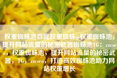 权重蜘蛛池百度权重蜘蛛ip权重蜘蛛池，提升网站流量的秘密武器蜘蛛池TG：zzcseo，权重蜘蛛池，提升网站流量的秘密武器，TG，zzcseo，打造高效蜘蛛池助力网站权重增长