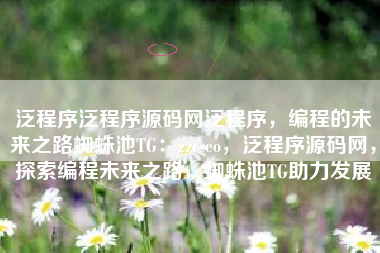 泛程序泛程序源码网泛程序，编程的未来之路蜘蛛池TG：zzcseo，泛程序源码网，探索编程未来之路，蜘蛛池TG助力发展
