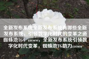 全新发布系统全新发布系统有哪些全新发布系统，引领数字化时代的变革之道蜘蛛池TG：zzcseo，全新发布系统引领数字化时代变革，蜘蛛池TG助力zzcseo