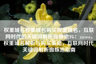 权重域名权重域名购买权重域名，互联网时代的关键词解析蜘蛛池TG：zzcseo，权重域名解析与购买策略，互联网时代关键词解析蜘蛛池指南