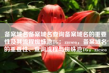 备案域名备案域名查询备案域名的重要性及其流程蜘蛛池TG：zzcseo，备案域名的重要性、查询流程与蜘蛛池TG，zzcseo