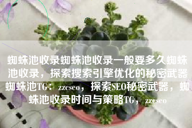 蜘蛛池收录蜘蛛池收录一般要多久蜘蛛池收录，探索搜索引擎优化的秘密武器蜘蛛池TG：zzcseo，探索SEO秘密武器，蜘蛛池收录时间与策略TG，zzcseo
