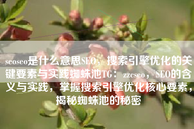 seoseo是什么意思SEO，搜索引擎优化的关键要素与实践蜘蛛池TG：zzcseo，SEO的含义与实践，掌握搜索引擎优化核心要素，揭秘蜘蛛池的秘密