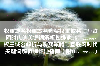 权重域名权重域名购买权重域名，互联网时代的关键词解析蜘蛛池TG：zzcseo，权重域名解析与购买策略，互联网时代关键词解析蜘蛛池指南（附TG，zzcseo）