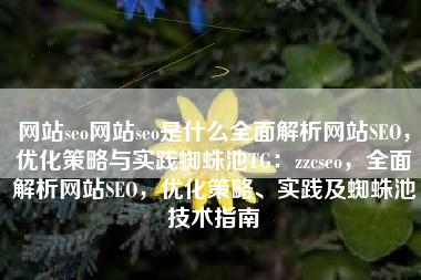 网站seo网站seo是什么全面解析网站SEO，优化策略与实践蜘蛛池TG：zzcseo，全面解析网站SEO，优化策略、实践及蜘蛛池技术指南