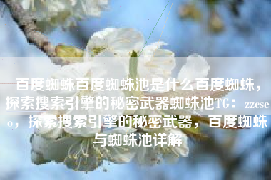 百度蜘蛛百度蜘蛛池是什么百度蜘蛛，探索搜索引擎的秘密武器蜘蛛池TG：zzcseo，探索搜索引擎的秘密武器，百度蜘蛛与蜘蛛池详解