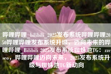哔哩哔哩_bilibili_2025发布系统哔哩哔哩2050哔哩哔哩发布系统升级，迈向未来的哔哩哔哩_Bilibili 2025发布系统蜘蛛池TG：zzcseo，哔哩哔哩迈向未来，2025发布系统升级与蜘蛛池TG新动向
