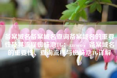 备案域名备案域名查询备案域名的重要性及其流程蜘蛛池TG：zzcseo，备案域名的重要性、查询流程与蜘蛛池TG详解