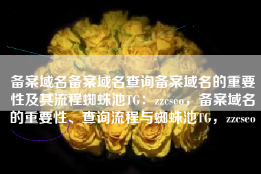 备案域名备案域名查询备案域名的重要性及其流程蜘蛛池TG：zzcseo，备案域名的重要性、查询流程与蜘蛛池TG，zzcseo