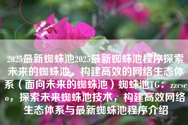 2025最新蜘蛛池2025最新蜘蛛池程序探索未来的蜘蛛池，构建高效的网络生态体系（面向未来的蜘蛛池）蜘蛛池TG：zzcseo，探索未来蜘蛛池技术，构建高效网络生态体系与最新蜘蛛池程序介绍