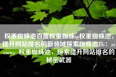 权重蜘蛛池百度权重蜘蛛ip权重蜘蛛池，提升网站排名的新领域探索蜘蛛池TG：zzcseo，权重蜘蛛池，探索提升网站排名的秘密武器