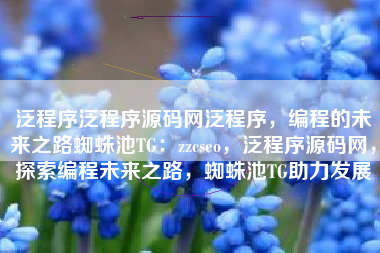 泛程序泛程序源码网泛程序，编程的未来之路蜘蛛池TG：zzcseo，泛程序源码网，探索编程未来之路，蜘蛛池TG助力发展