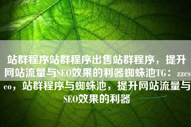 站群程序站群程序出售站群程序，提升网站流量与SEO效果的利器蜘蛛池TG：zzcseo，站群程序与蜘蛛池，提升网站流量与SEO效果的利器