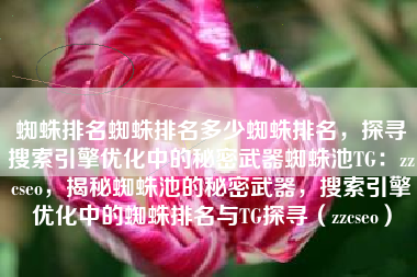 蜘蛛排名蜘蛛排名多少蜘蛛排名，探寻搜索引擎优化中的秘密武器蜘蛛池TG：zzcseo，揭秘蜘蛛池的秘密武器，搜索引擎优化中的蜘蛛排名与TG探寻（zzcseo）