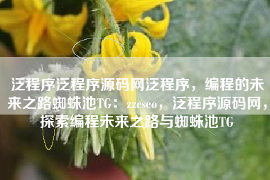 泛程序泛程序源码网泛程序，编程的未来之路蜘蛛池TG：zzcseo，泛程序源码网，探索编程未来之路与蜘蛛池TG