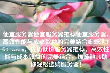 便宜服务器便宜服务器推荐便宜服务器，高效性能与成本效益的完美结合蜘蛛池TG：zzcseo，优质低价服务器推荐，高效性能与成本效益的完美结合，蜘蛛池TG助你轻松选购服务器！