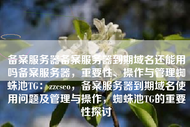 备案服务器备案服务器到期域名还能用吗备案服务器，重要性、操作与管理蜘蛛池TG：zzcseo，备案服务器到期域名使用问题及管理与操作，蜘蛛池TG的重要性探讨