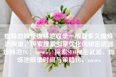 蜘蛛池收录蜘蛛池收录一般要多久蜘蛛池收录，探索搜索引擎优化的秘密武器蜘蛛池TG：zzcseo，探索SEO秘密武器，蜘蛛池收录时间与策略TG，zzcseo