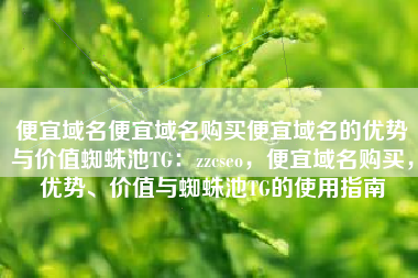 便宜域名便宜域名购买便宜域名的优势与价值蜘蛛池TG：zzcseo，便宜域名购买，优势、价值与蜘蛛池TG的使用指南
