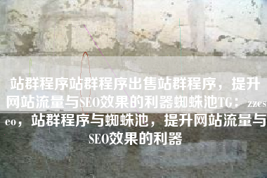 站群程序站群程序出售站群程序，提升网站流量与SEO效果的利器蜘蛛池TG：zzcseo，站群程序与蜘蛛池，提升网站流量与SEO效果的利器