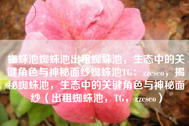 蜘蛛池蜘蛛池出租蜘蛛池，生态中的关键角色与神秘面纱蜘蛛池TG：zzcseo，揭秘蜘蛛池，生态中的关键角色与神秘面纱（出租蜘蛛池，TG，zzcseo）