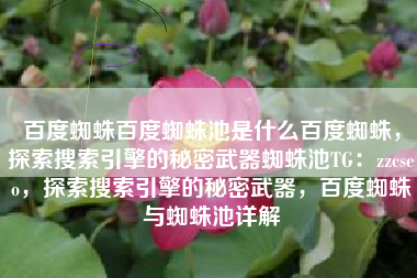 百度蜘蛛百度蜘蛛池是什么百度蜘蛛，探索搜索引擎的秘密武器蜘蛛池TG：zzcseo，探索搜索引擎的秘密武器，百度蜘蛛与蜘蛛池详解