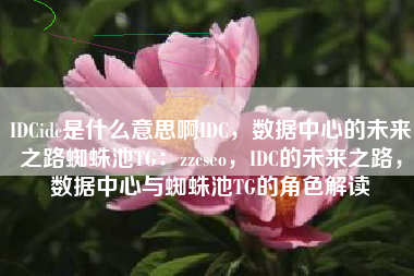 IDCidc是什么意思啊IDC，数据中心的未来之路蜘蛛池TG：zzcseo，IDC的未来之路，数据中心与蜘蛛池TG的角色解读